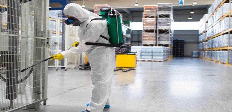 Why is Commercial Pest Control in Dubai Important for Your Business?