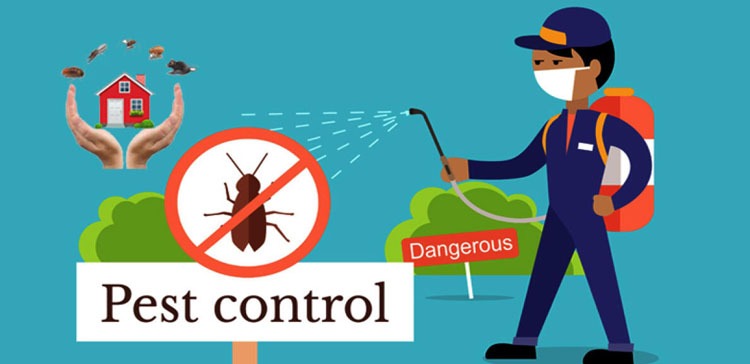 Is pest control mandatory in Dubai?