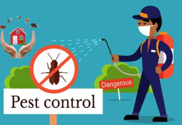 How Much is Pest Control in Dubai? A Guide to Managing Infestations
